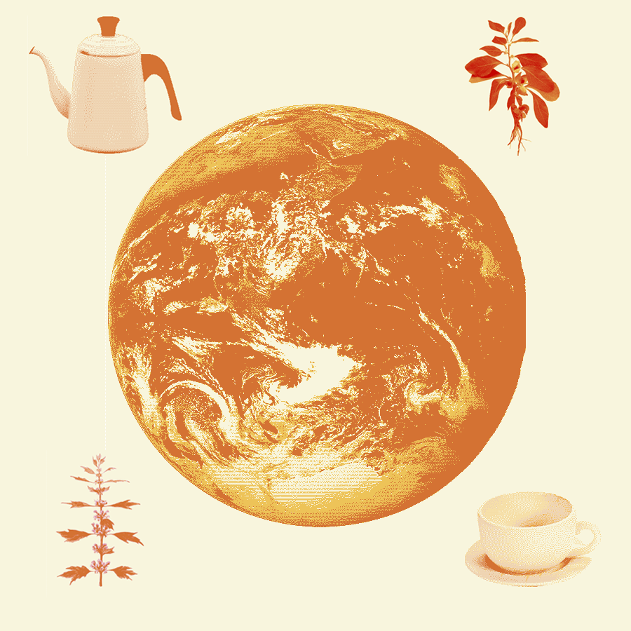 Earth with text HERE TO HEAL