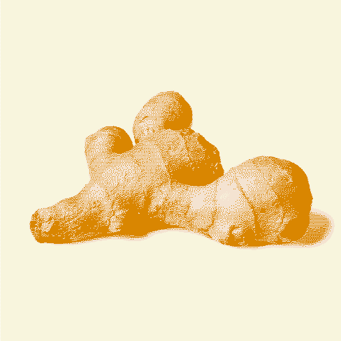 Ginger Root